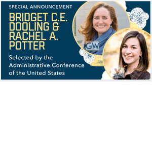 Bridget C.E. Dooling & Rachel A. Potter cover