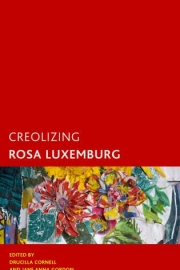 Rosa Luxemburg and the Primitive Accumulation of Whiteness